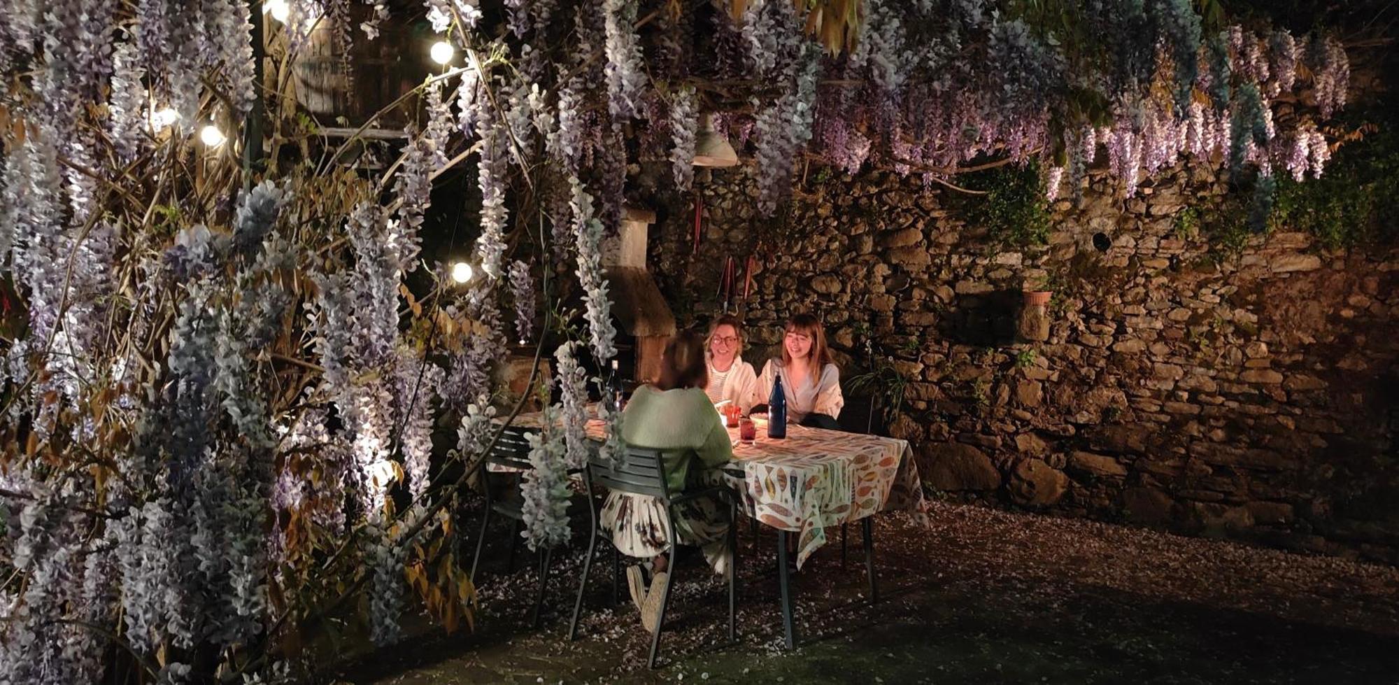 Bed and Breakfast La Casa Delle Pietre Parlanti - Casa In Pietra Ai Piedi Del Parco Delle 5 Terre Biassa Zewnętrze zdjęcie